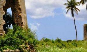 &copy; guadeloupe.fr
