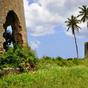 Terrain  - 923 m²  - Marie Galante - Grand Bourg en Guadeloupe
