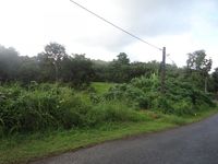 Terrain  - 927 m²  - Sainte Rose en Guadeloupe