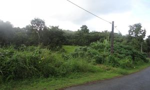 &copy; guadeloupe.fr