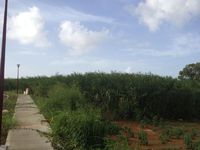 Terrain  - 940 m²  - Lamentin en Guadeloupe