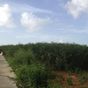 Terrain  - 940 m²  - Lamentin en Guadeloupe