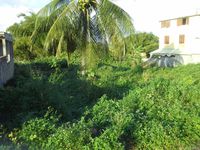 Terrain  - 974 m²  - Sainte Rose en Guadeloupe