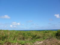 Terrain  - Le Moule en Guadeloupe