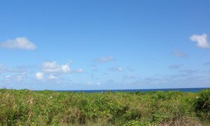 &copy; guadeloupe.fr