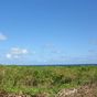 Terrain  - Le Moule en Guadeloupe